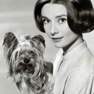 AHE01 a Audrey Hepbern with Dog