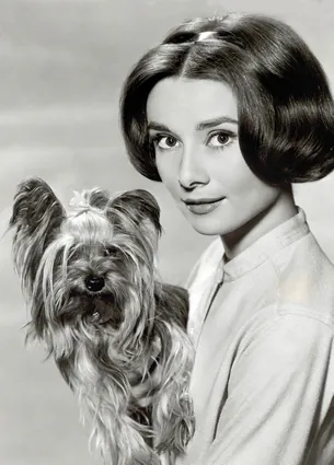 AHE01 a Audrey Hepbern with Dog