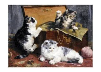 Kittens at Play, 1900