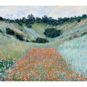 Poppy Field in a Hollow near Giverny, 1885