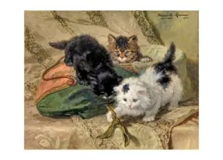 Три котенка играют, 1902 г.