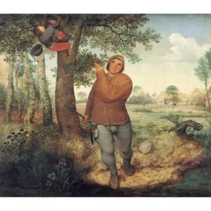 Крестьянин и гнездовой разбойник, 1568 г.