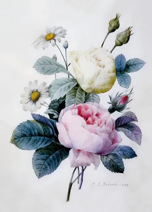 Букет роз с маргаритками, опубликовано в 1834 году