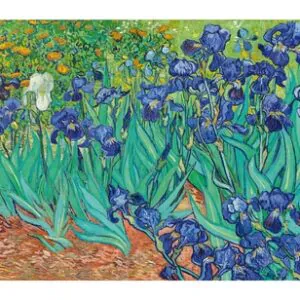 Irises, 1889