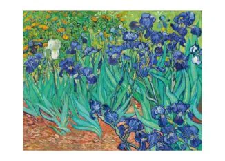 Irises, 1889